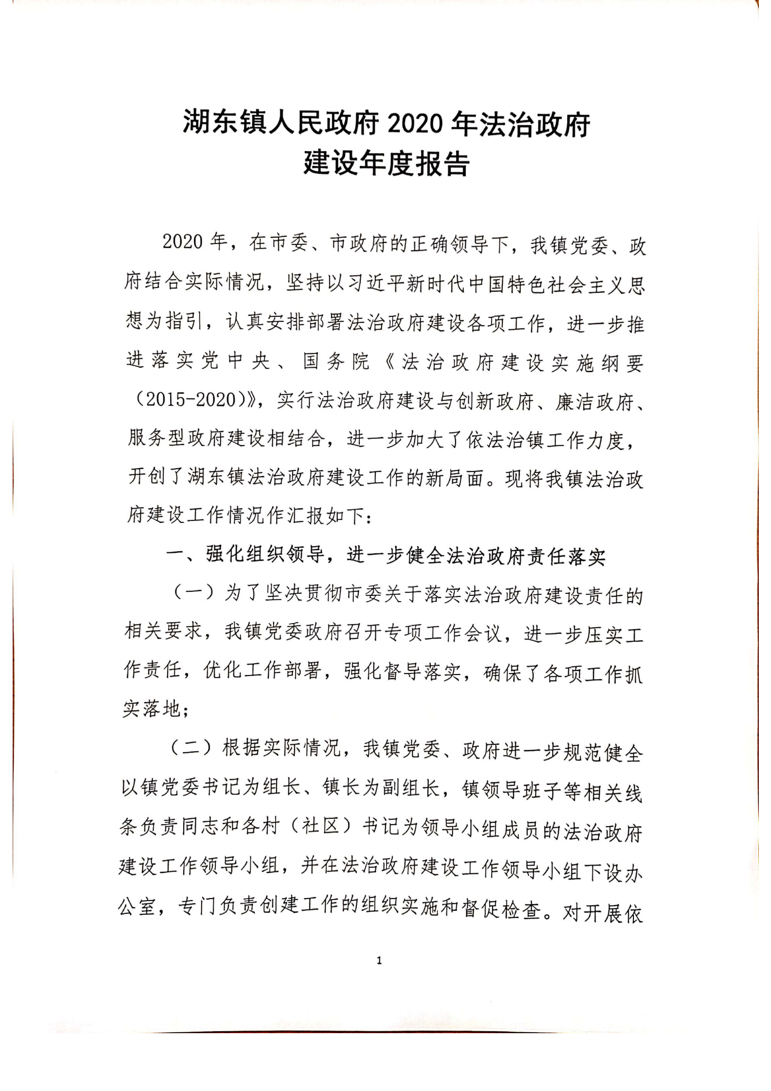 湖東鎮(zhèn)人民政府2020年法治政府建設(shè)年度報告_00.png